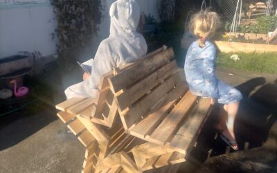 Star Bench