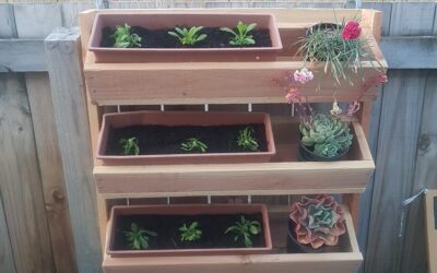Vertical Garden